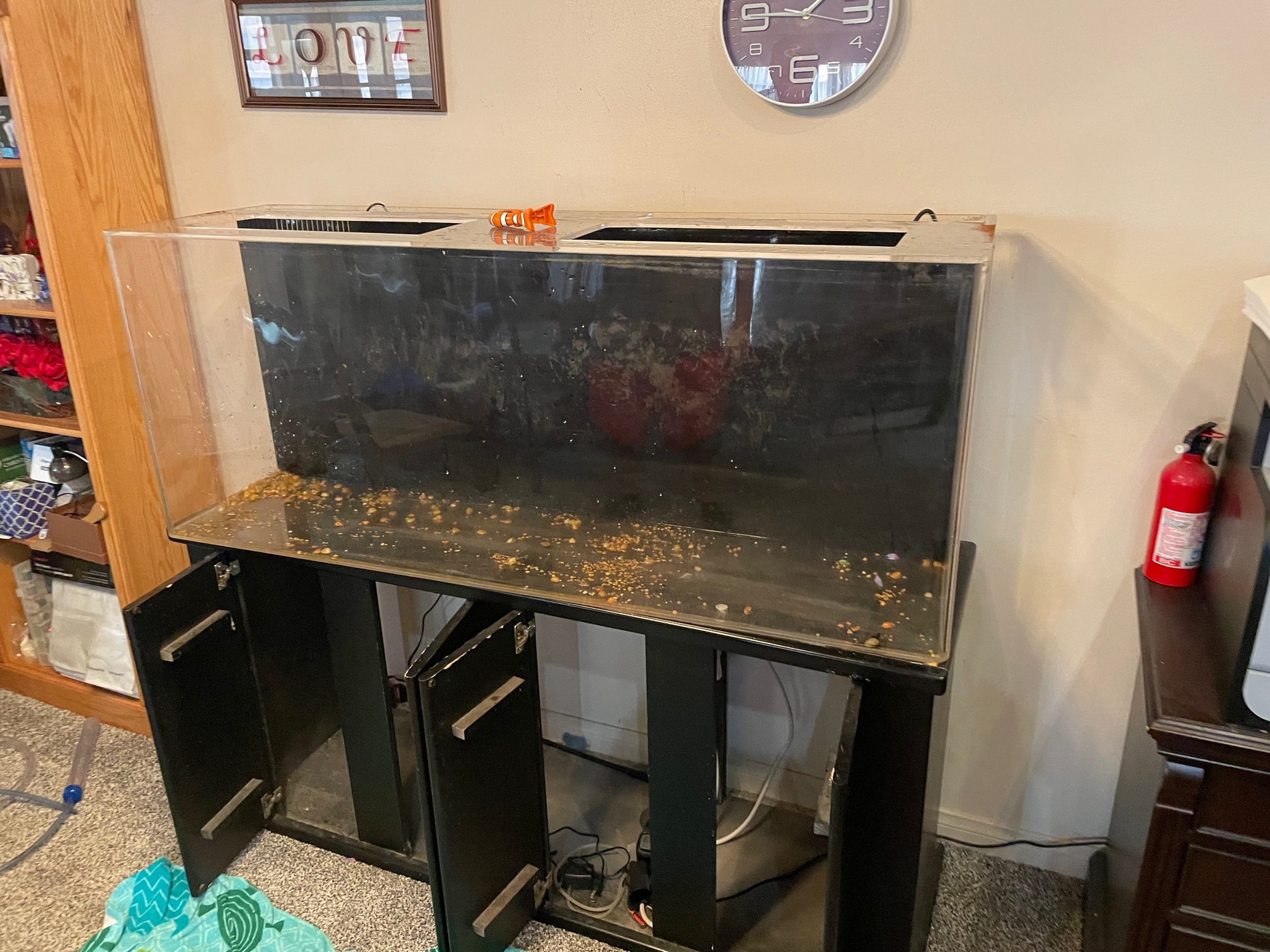 My Fish Tank Man Fish Tank Moving San Diego, CA Phoenix